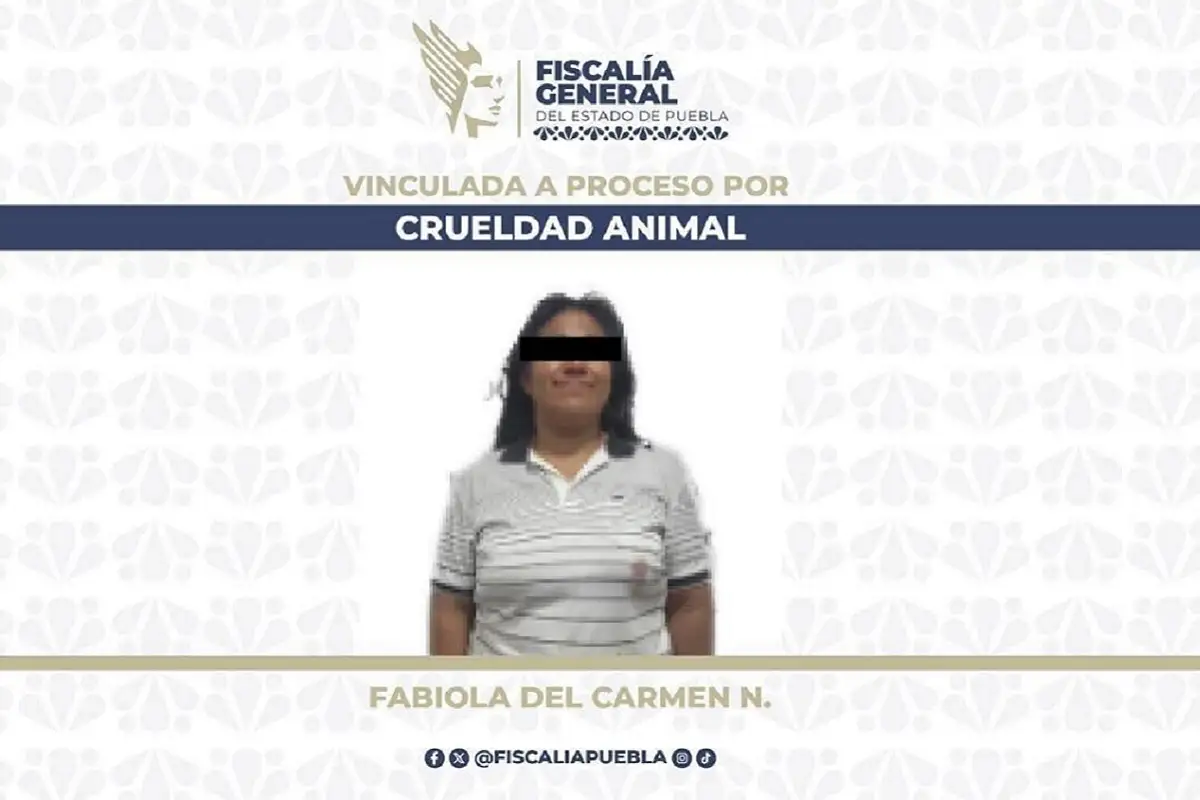 Logra la FGE prisión preventiva contra mujer que agredió a lomito con un machete 1 Dan prisión preventiva a mujer que agredió a un perro con un machete
