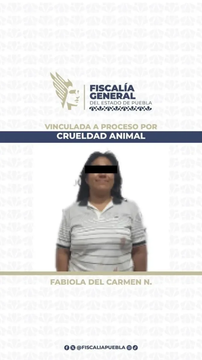 Dan prisión preventiva a mujer que agredió a un perro con un machete