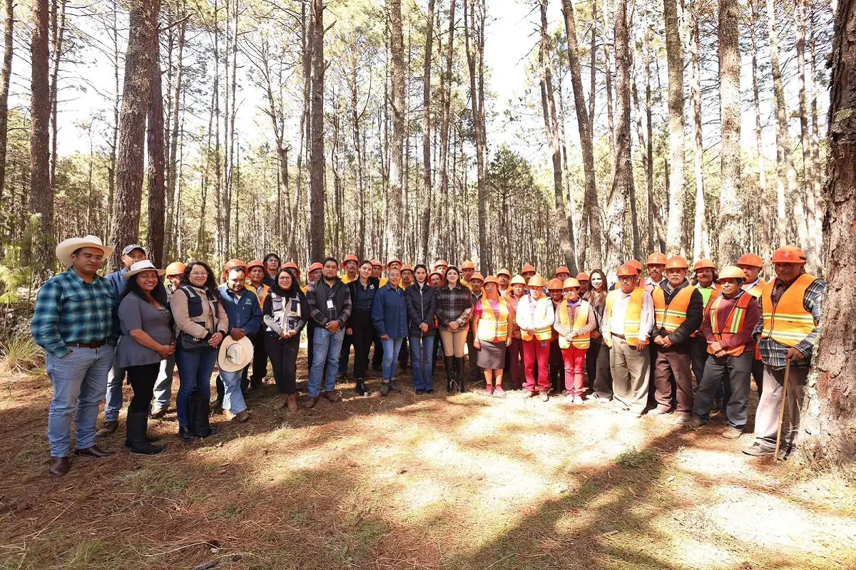 Ejido de Atexca es reconocido a nivel nacional por CONAFOR por su buen manejo forestal