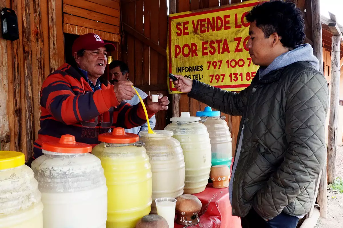Así es la Ruta del Pulque en Zacatlán: promocionas y fechas