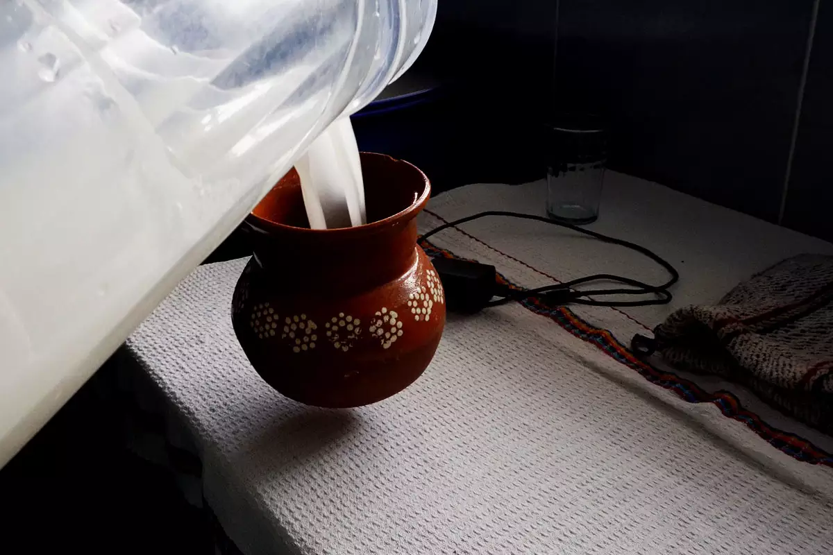 Así es la Ruta del Pulque en Zacatlán: promocionas y fechas