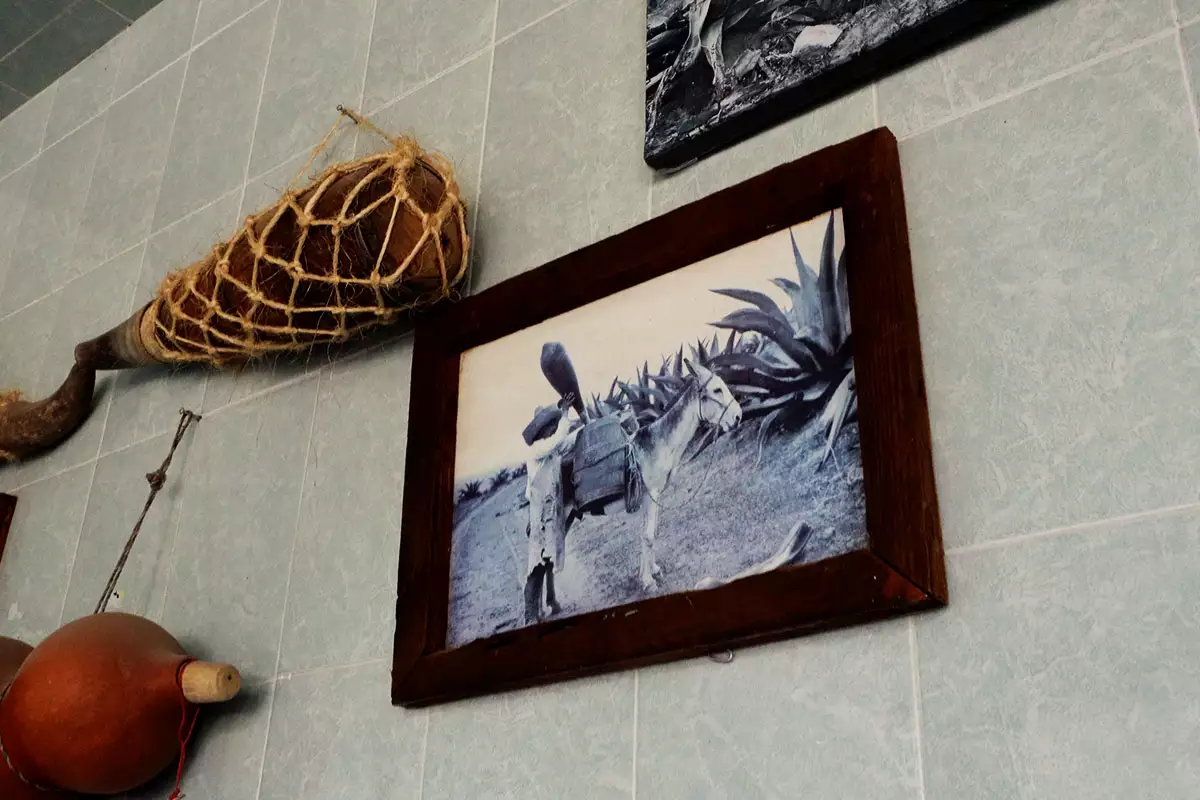 Así es la Ruta del Pulque en Zacatlán: promocionas y fechas