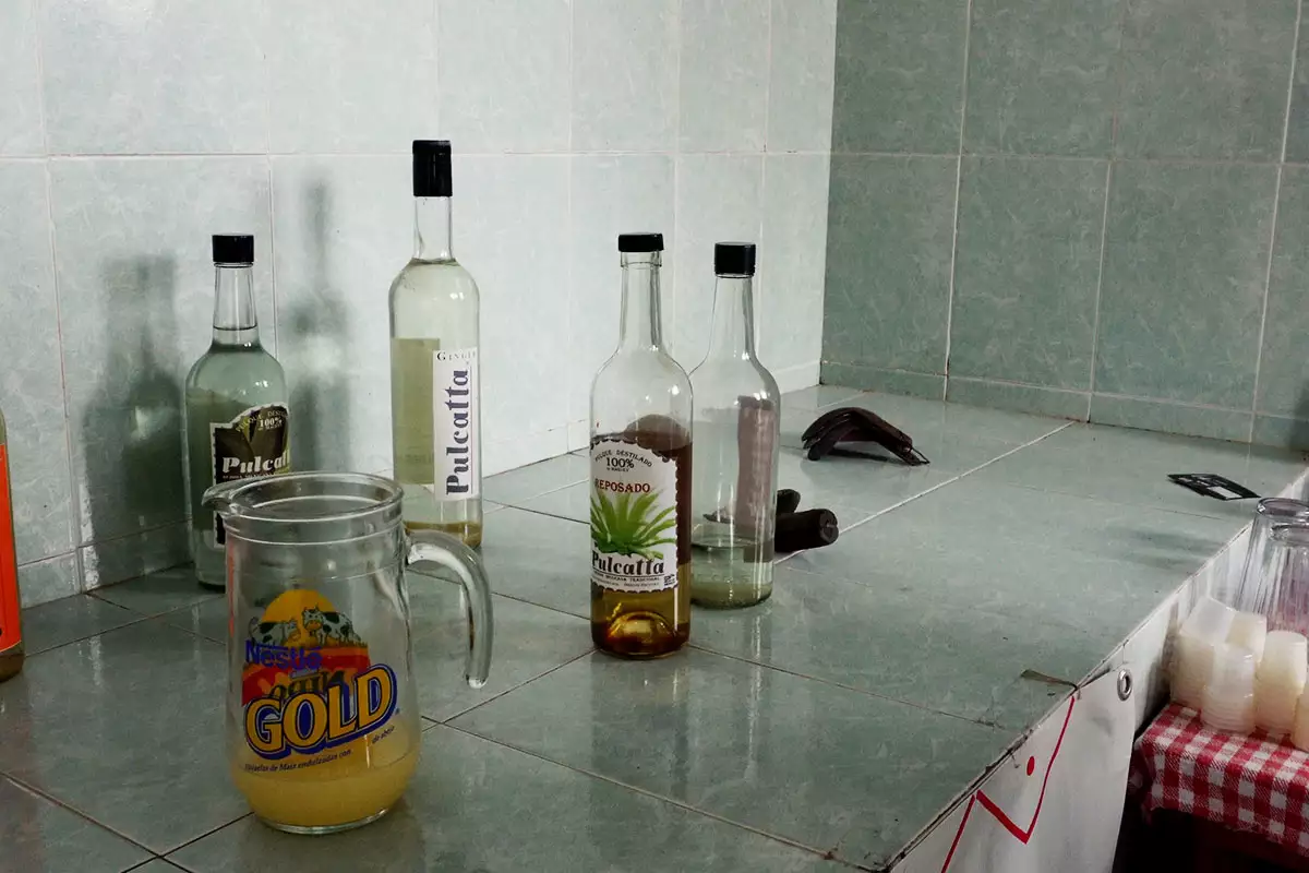 Así es la Ruta del Pulque en Zacatlán: promocionas y fechas