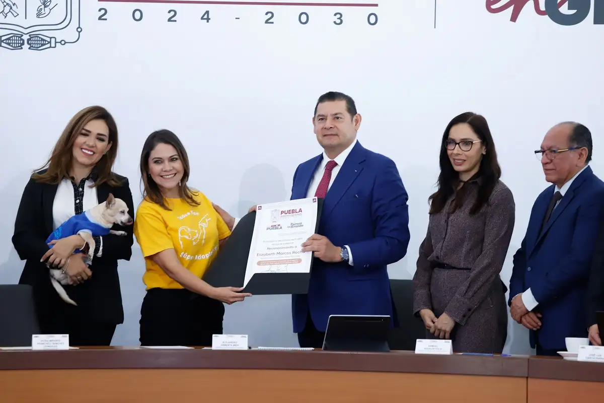 Gobierno y Fiscalía se coordinan para sancionar agresiones a seres sintientes