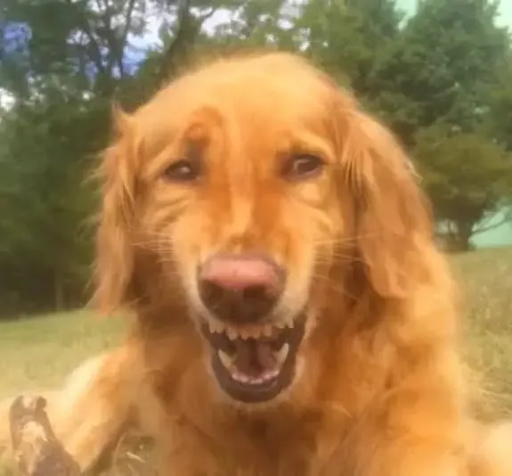 River vence a la Selección de México y los memes inundan las redes sociales