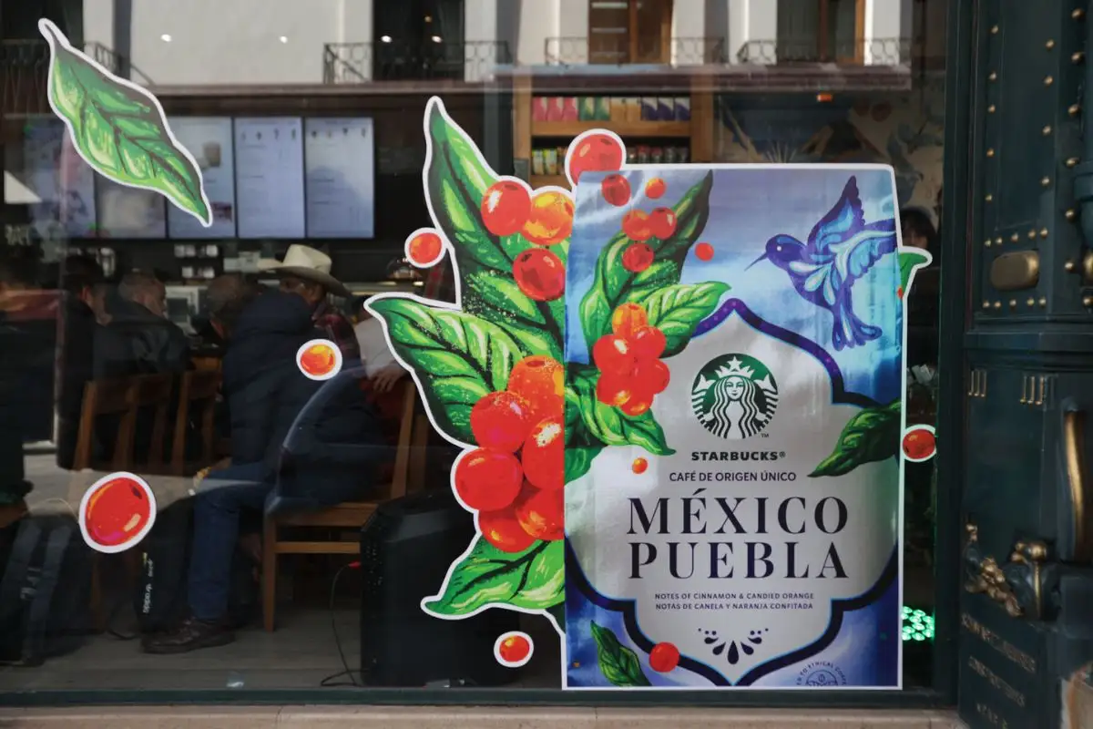 De Xicotepec y Zacapoaxtla para el mundo, Starbucks distribuirá 'café Puebla'