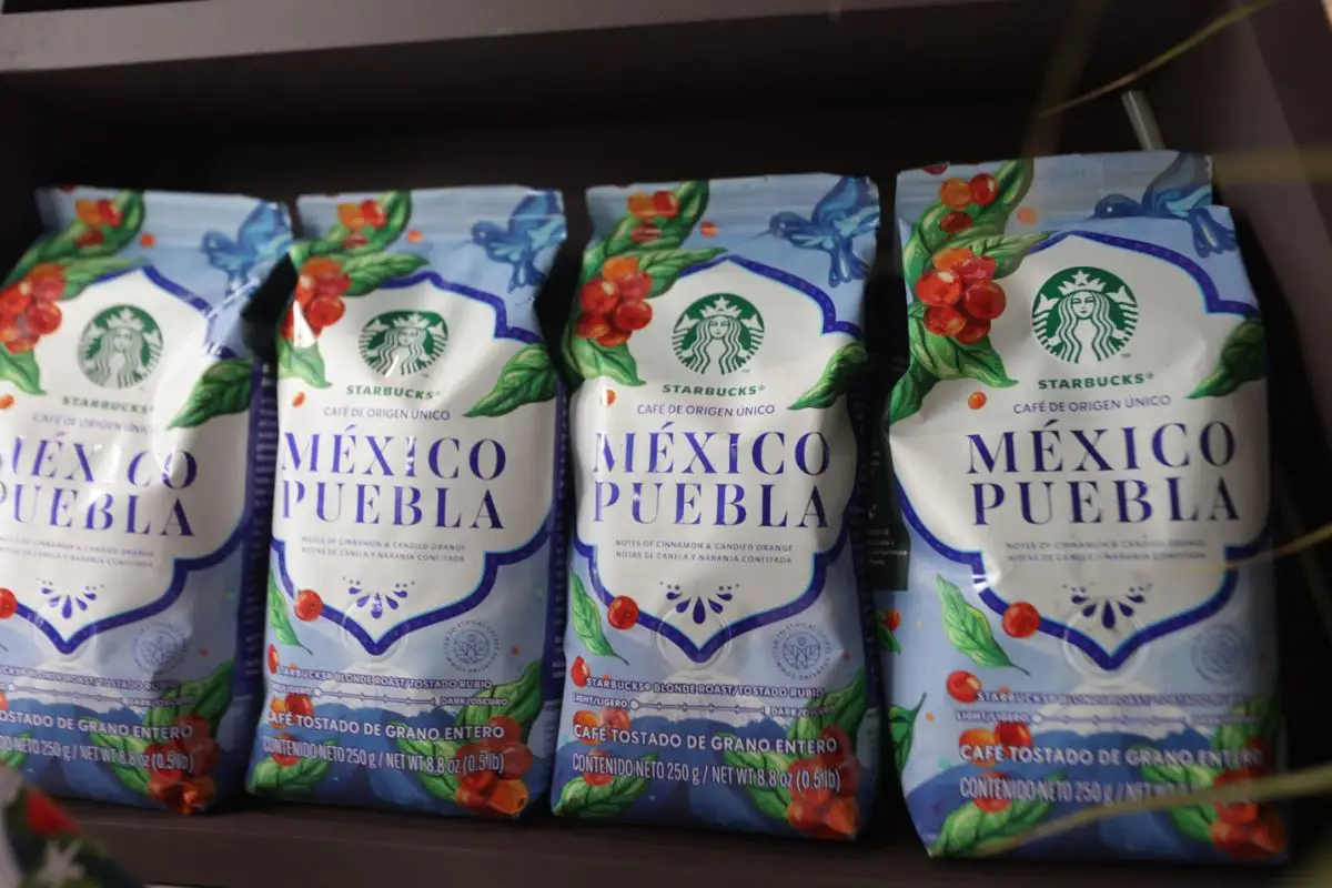 De Xicotepec y Zacapoaxtla para el mundo, Starbucks distribuirá 'café Puebla'