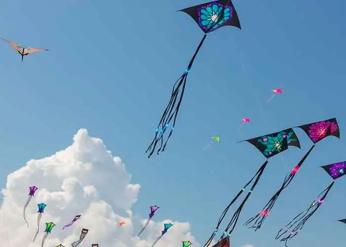 Día de la Cometa: te enseñamos a hacer la tuya en casa