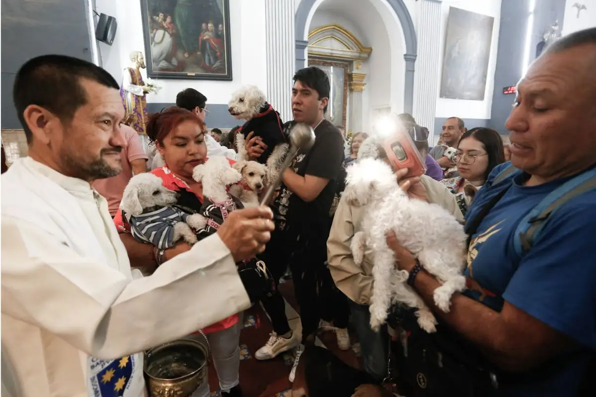 ¿Por qué se celebra el 17 de enero el Día Mundial de Bendecir a los Animales? 5 ¿Por qué se celebra el 17 de enero el Día Mundial de Bendecir a los Animales?