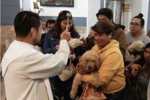 ¿Por qué se celebra el 17 de enero el Día Mundial de Bendecir a los Animales?