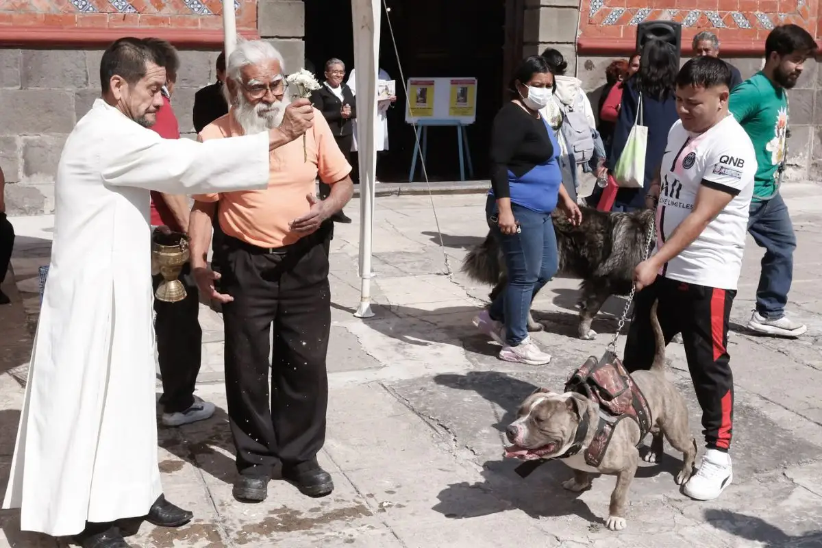 ¿Por qué se celebra el 17 de enero el Día Mundial de Bendecir a los Animales? 6 ¿Por qué se celebra el 17 de enero el Día Mundial de Bendecir a los Animales?
