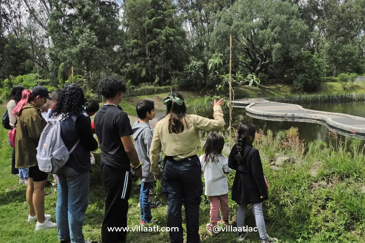 Villa Atl te invita a celebrar el Día Nacional del Ajolote con estas actividades en Puebla