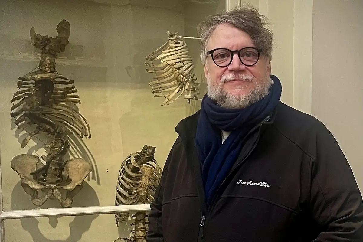 Tunden a Guillermo del Toro por elogiar a "Emilia Pérez"; lo llaman "traidor" 1 “Es hermoso ver una película que es cine”, afirmó del Toro, quien también alabó la transición fluida entre coreografías tradicionales y momentos más experimentales dentro del largometraje.