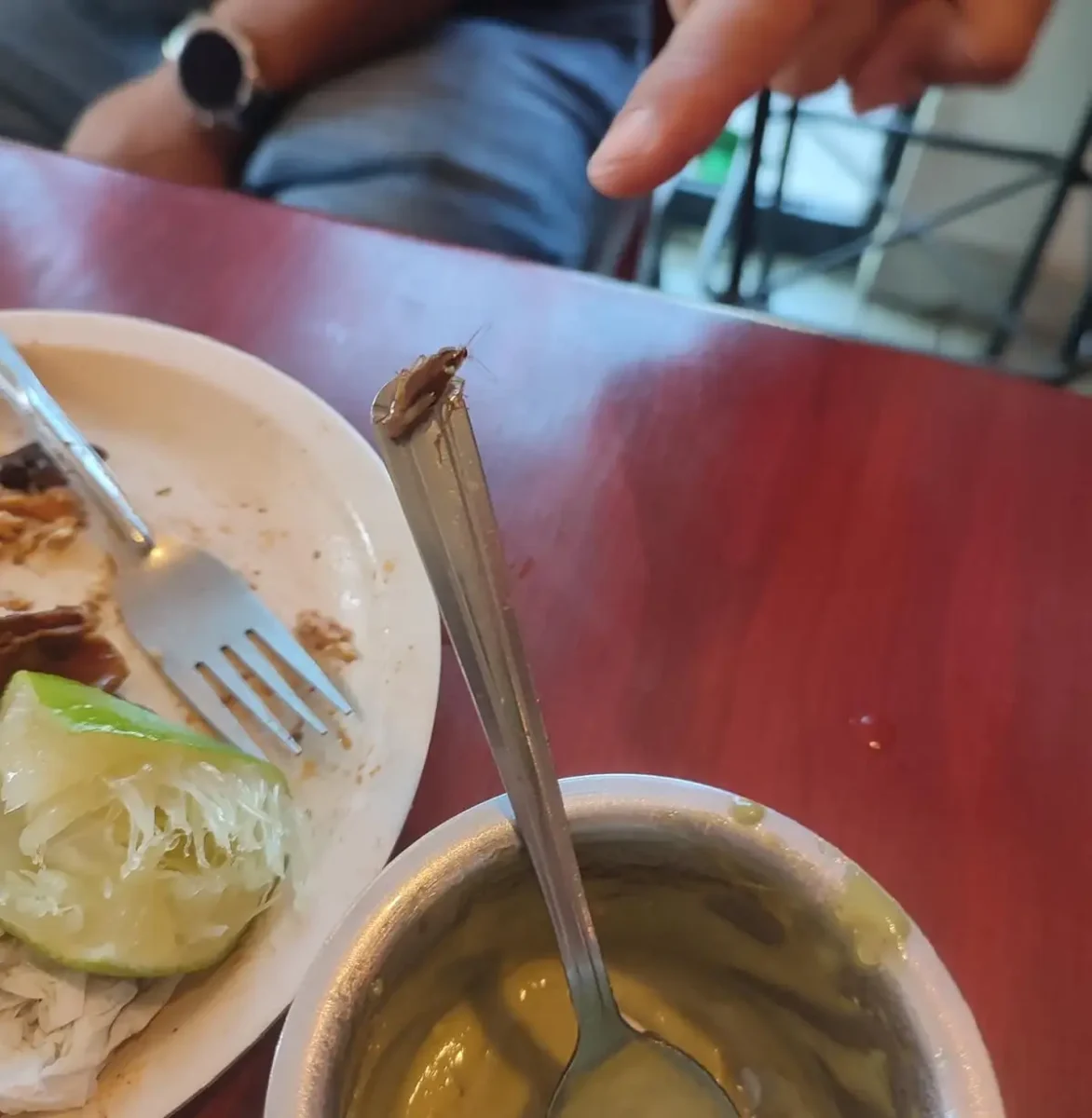 Con todo y cucaracha: así le sirven su comida a comensales de Saborni’s Puebla 2 Con todo y cucaracha: así le sirven su comida a comensal de Saborni's Puebla