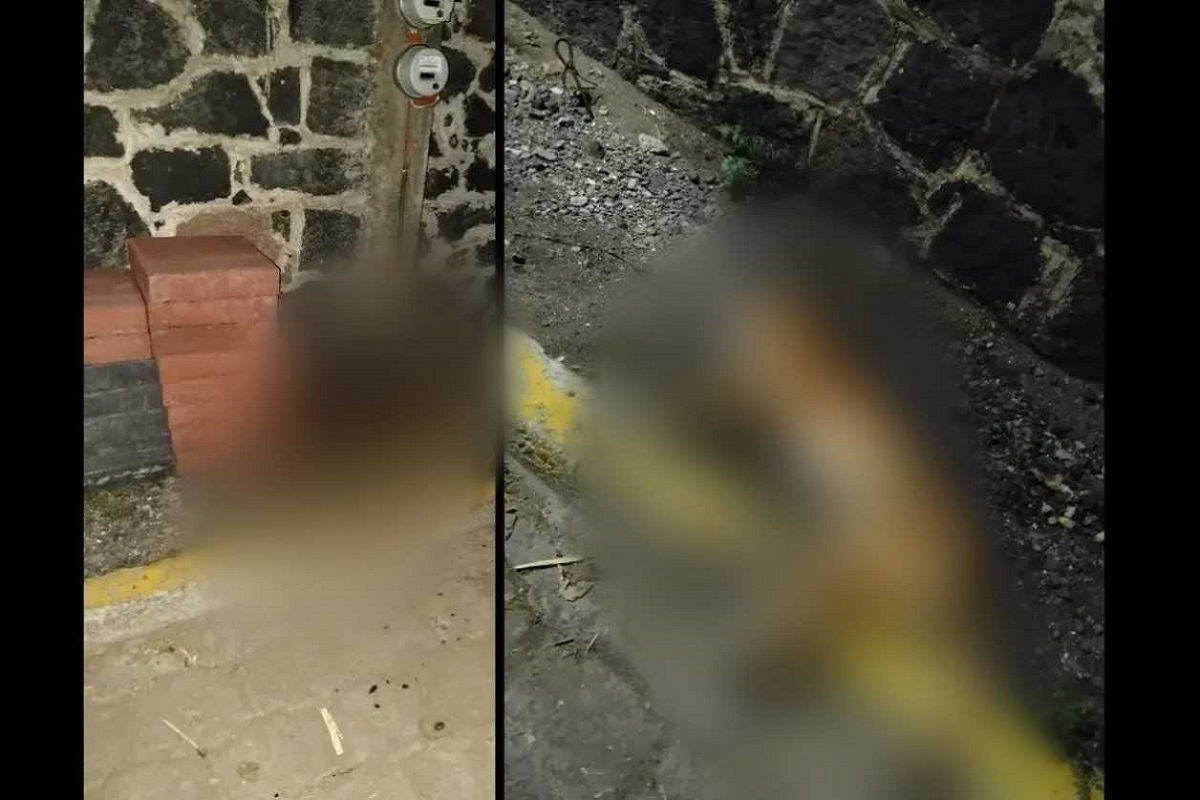 Ayuntamiento de Atlixco no tolerará maltrato animal tras caso en Axocopan 1 Ayuntamiento de Atlixco no tolerará maltrato animal tras caso en Axocopan