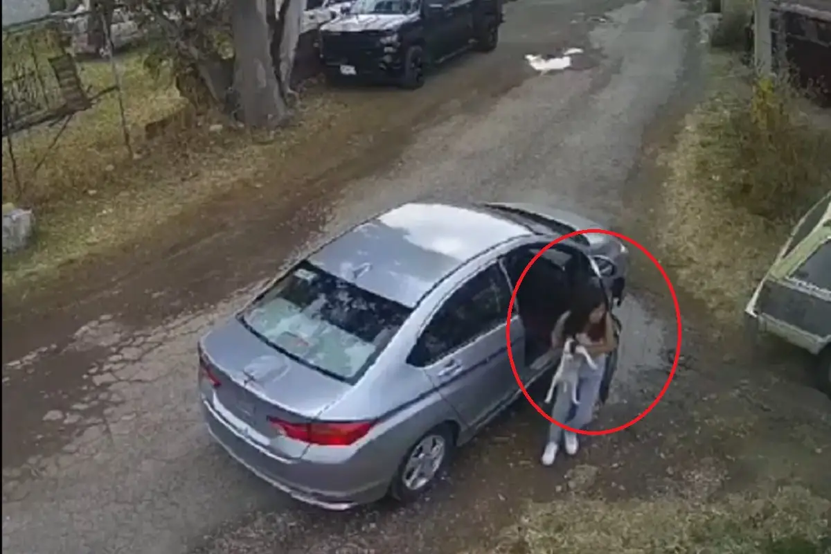 Indignación en redes: Buscan a mujer que abandonó a dos cachorros en Puebla 2 Buscan identificar a mujer que abandonó a dos cachorros en Puebla