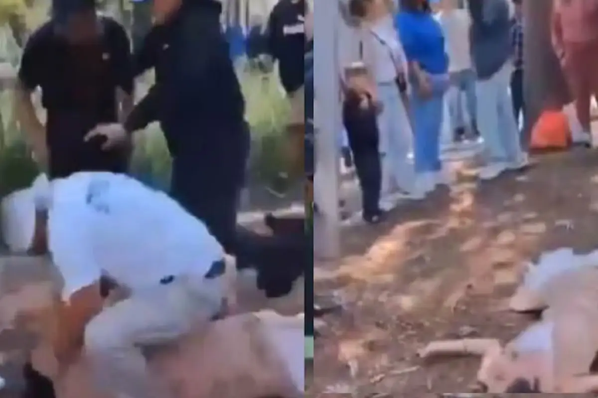 Detienen a funcionarios que dieron brutal golpiza a una mujer trans en la Alameda Central (VIDEO) 1 Detienen a funcionarios que dieron brutal golpiza a una mujer trans en la Alameda