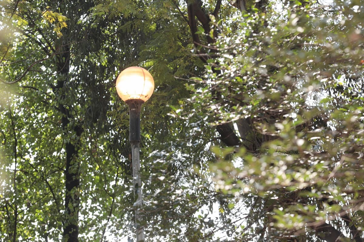 Mantiene Gobierno de la Ciudad compromiso para dar mantenimiento a las áreas verdes 2 Mantenimiento a las áreas verdes para garantizar entornos más limpios, iluminados y dignos para los poblanos.