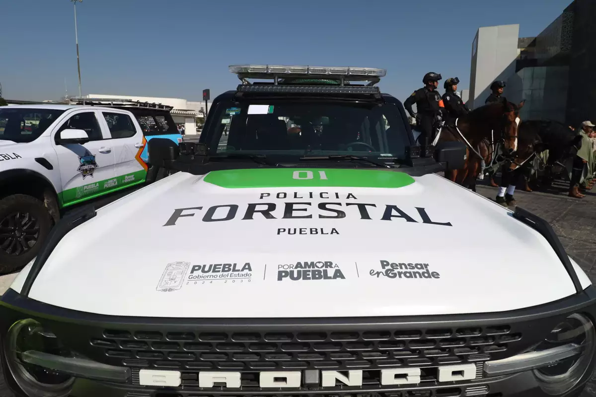 Estas serán las funciones de la guardia forestal de Puebla