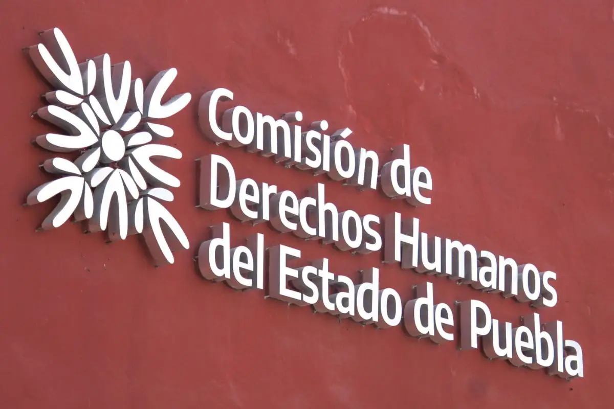 Estos son los aspirantes al Consejo Consultivo de la CDH Puebla