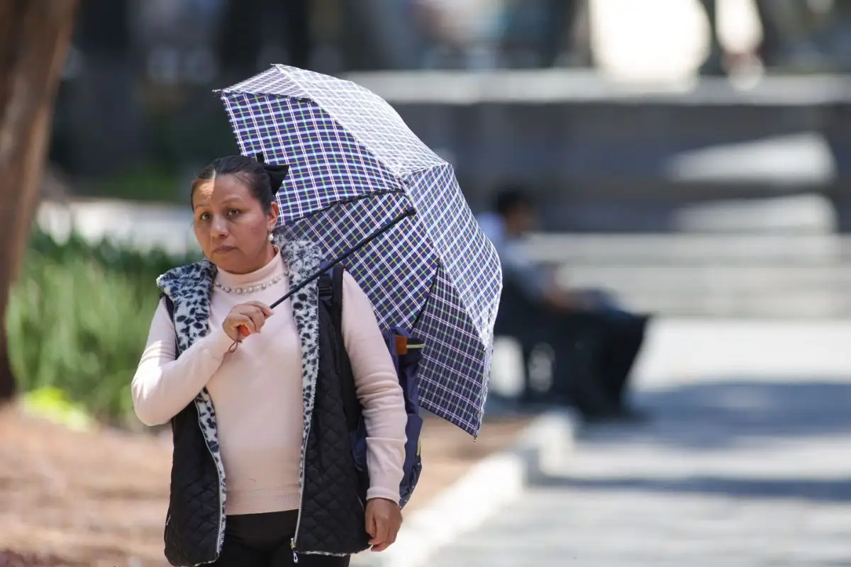 Clima en Puebla hoy 15 de febrero: será un día caluroso 2 Clima en Puebla hoy 15 de febrero: será un día caluroso