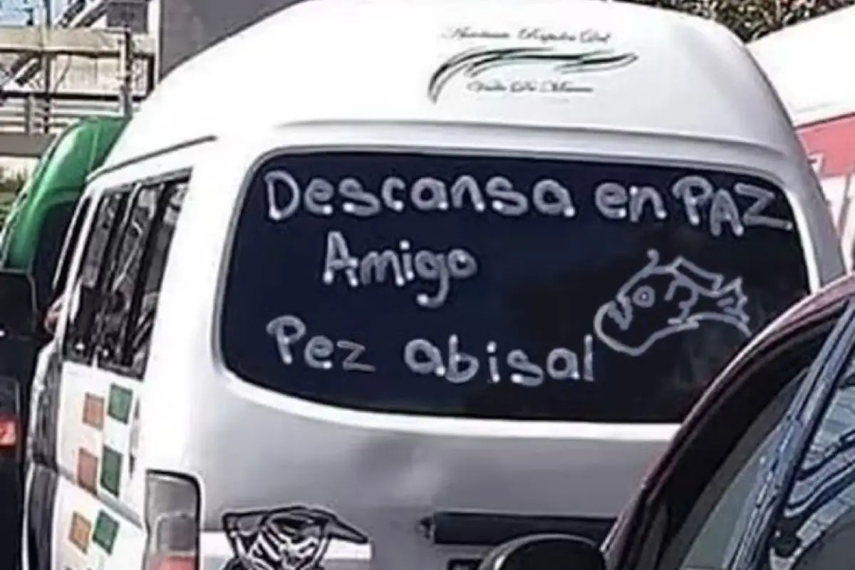 Así despiden las redes al pez diablo negro que murió en España 1 Así despiden las redes al pez diablo negro que murió en España