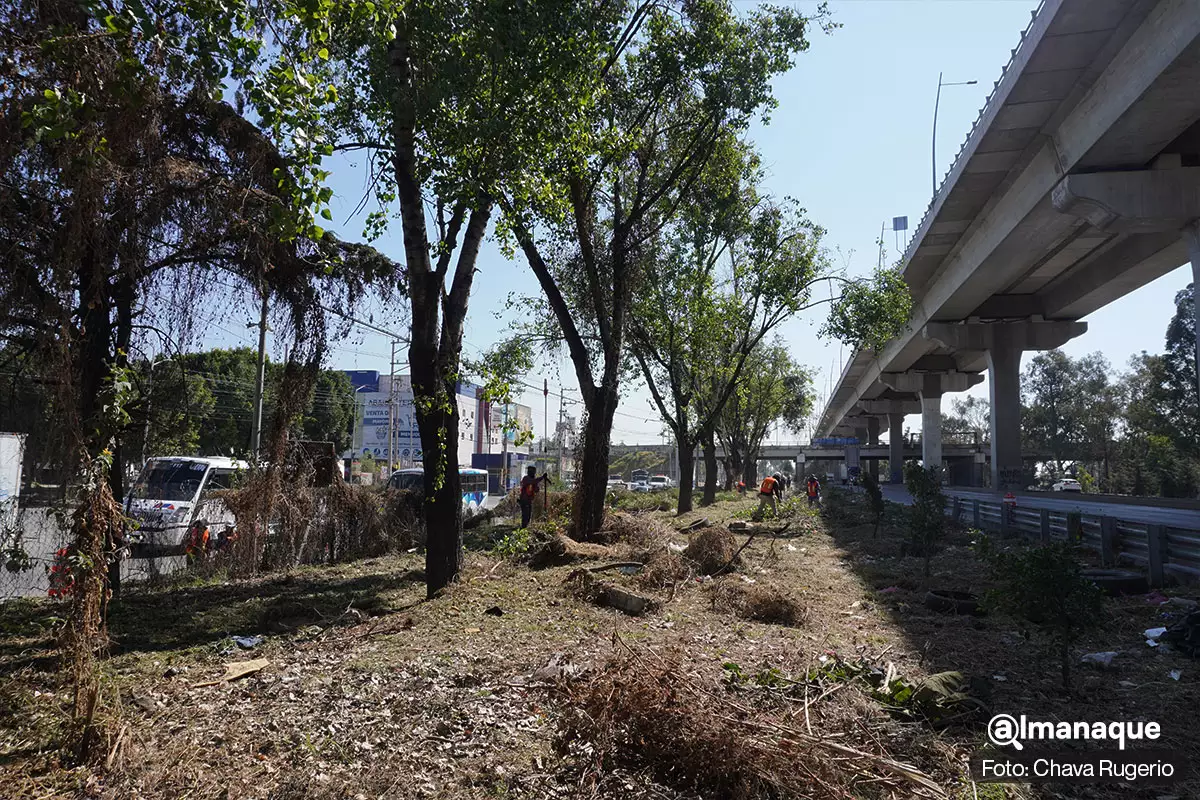 hermenegildo registro CFE sistema de limpia 11