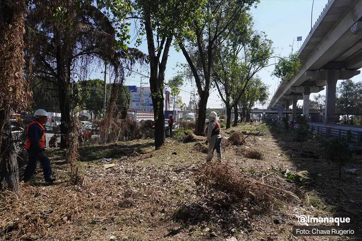 hermenegildo registro CFE sistema de limpia 12