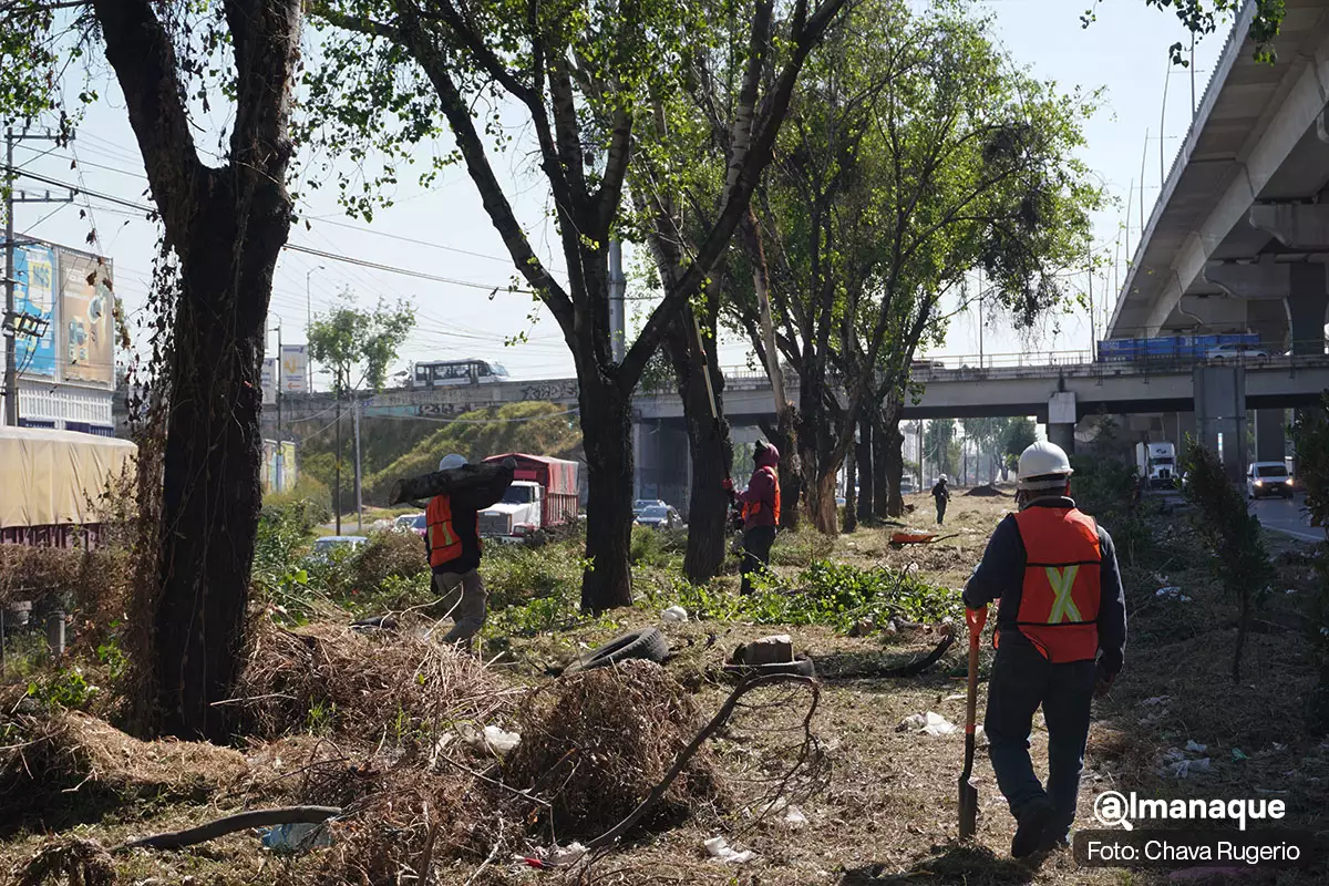 hermenegildo registro CFE sistema de limpia 8