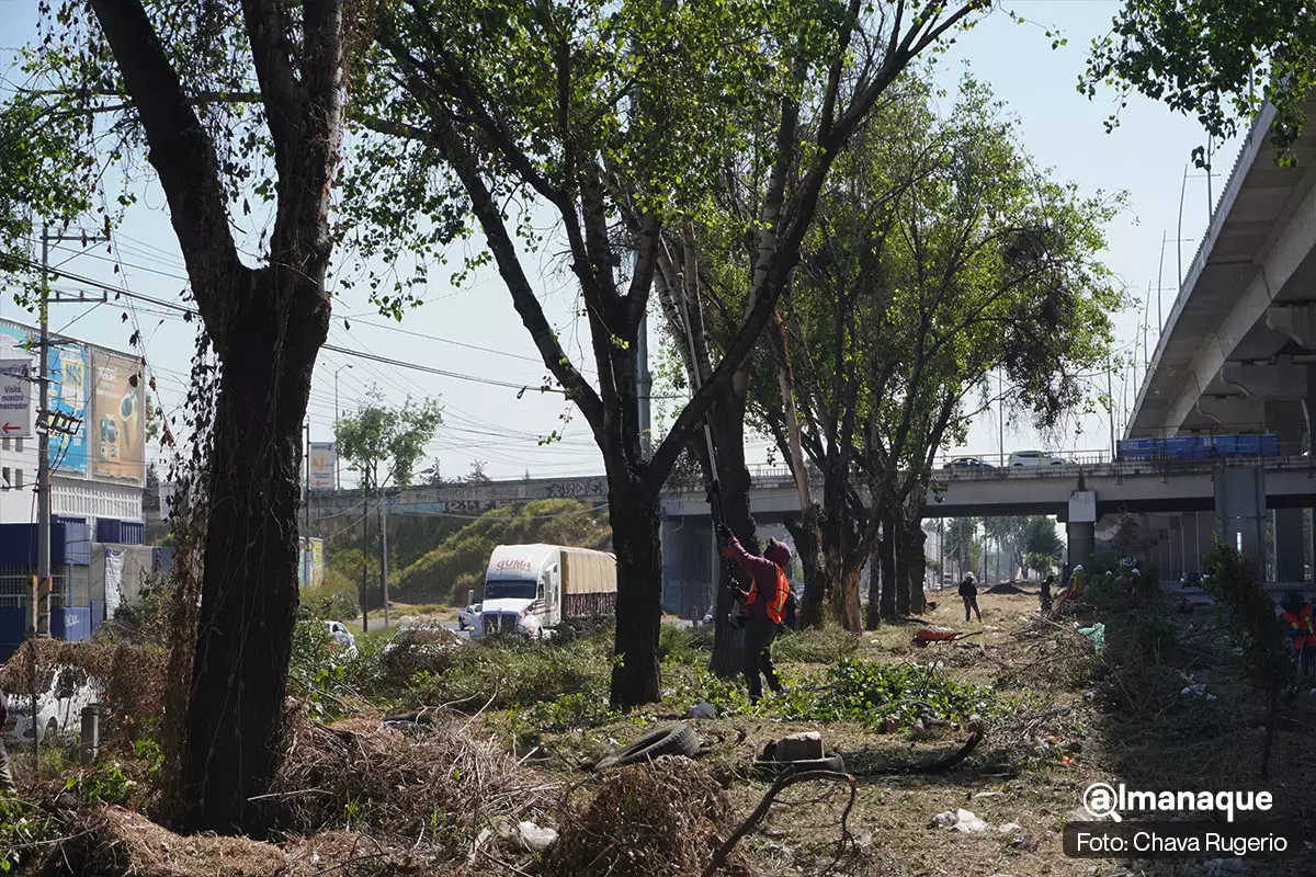 hermenegildo registro CFE sistema de limpia 9