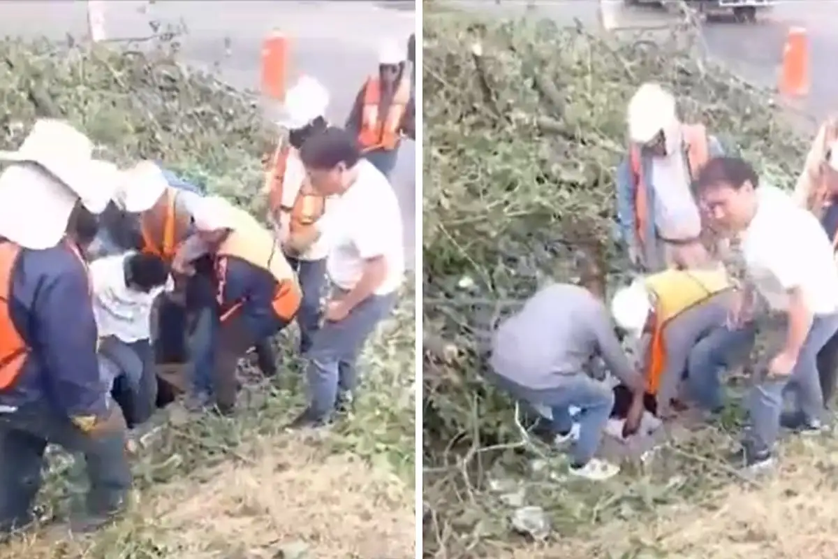 Integran a la vida laboral a hombre rescatado del registro de CFE en Puebla 1 Hombre rescatado del registro de CFE es asistido por el gobierno
