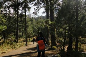 licitación para construir camino de acceso al ecoparque La Malintzi