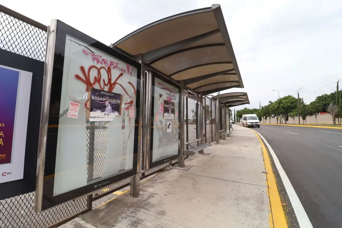 Licitación de paraderos en la ciudad de Puebla debe ser avalada por Armenta: Chedraui