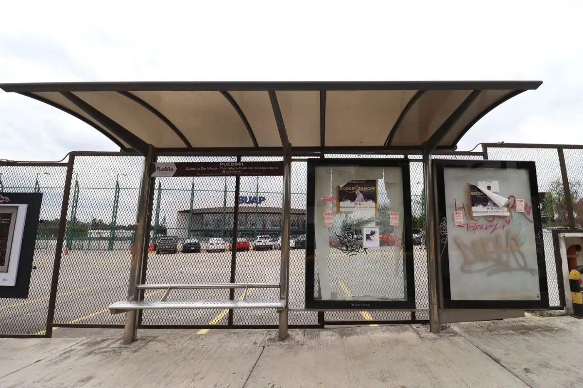 Licitación de paraderos en la ciudad de Puebla debe ser avalada por Armenta: Chedraui