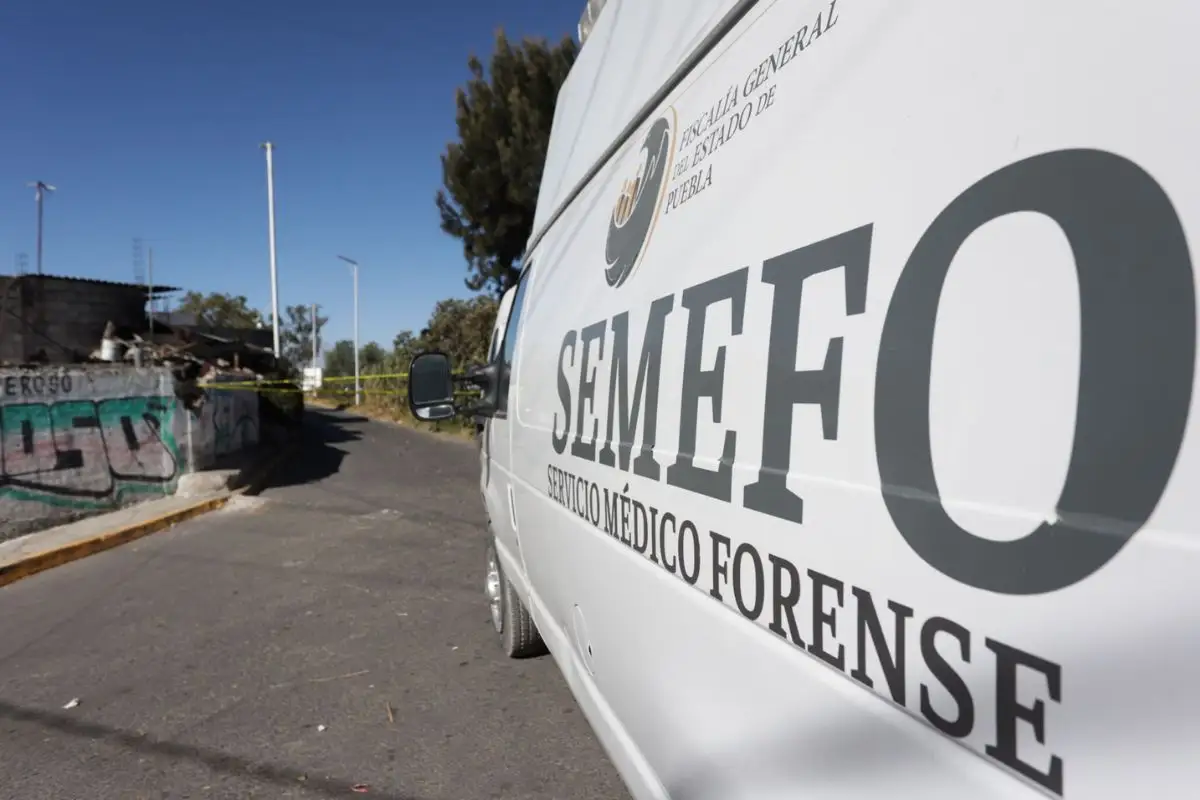 En marzo propondrán creación de SEMEFO de seres sintientes en Puebla