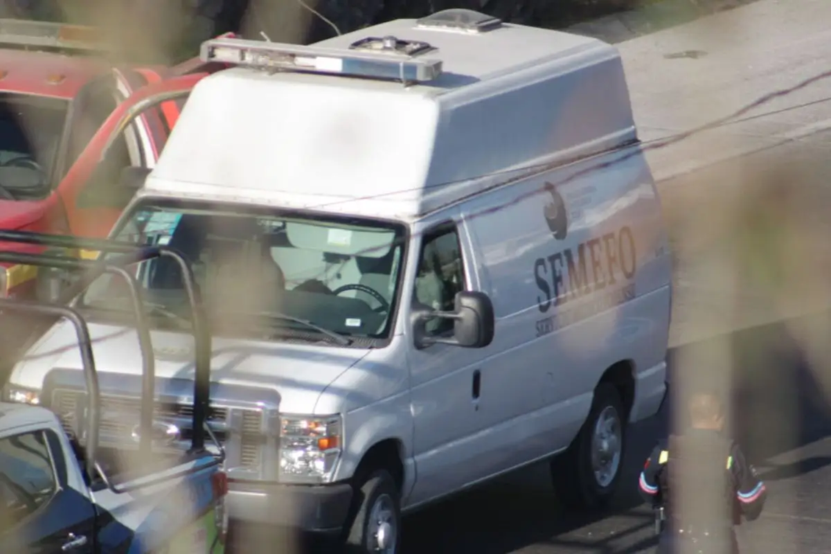 En marzo propondrán creación de SEMEFO de seres sintientes en Puebla