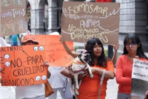 En marzo propondrán creación de SEMEFO de seres sintientes en Puebla