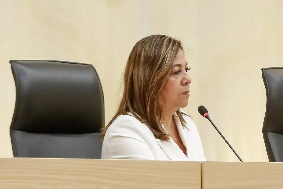 Aprueban en comisiones que investigación de violación conyugal sea por oficio 1 Aprueban en comisiones que investigación de violación conyugal sea por oficio
