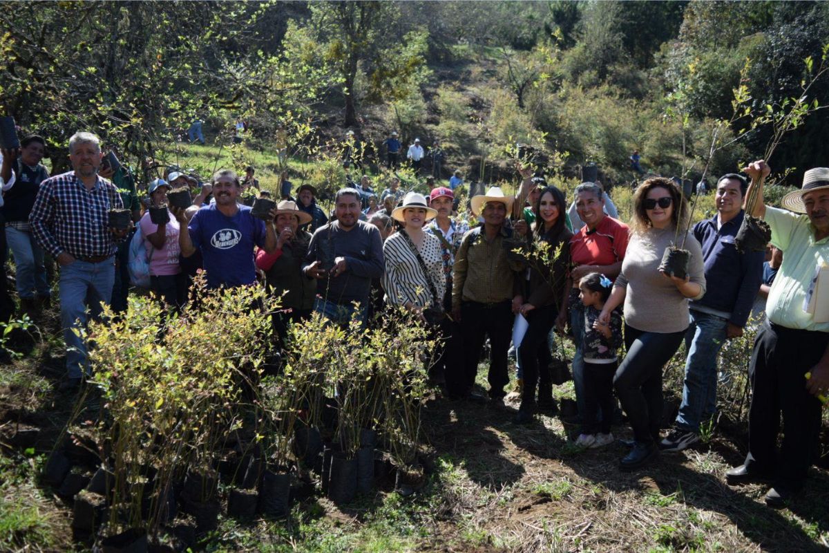 Ayuntamiento de Zacatlan impulsa proyecto o desarrollo sustentable 1