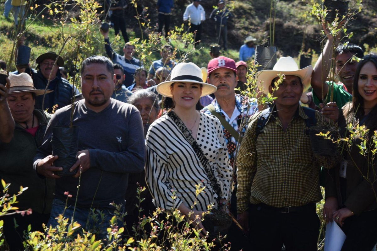 Ayuntamiento de Zacatlán impulsa proyecto o desarrollo sustentable del municipio y cuidado del medio ambiente 1 Ayuntamiento de Zacatlan impulsa proyecto o desarrollo sustentable