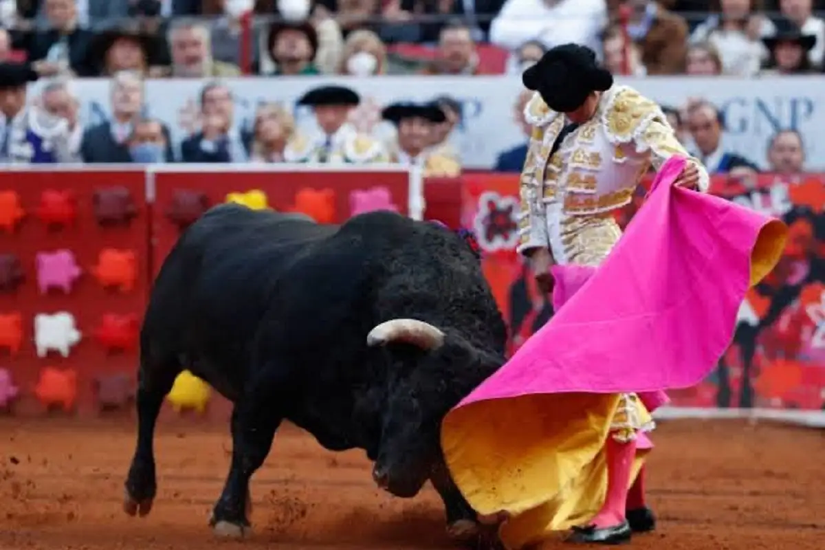 Aprueban en Comisiones corridas de toros sin violencia en la CDMX 1 CDMX avanza en propuesta para corridas de toros sin violencia