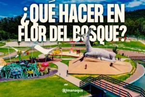 Actividades de flor del bosque en 2025