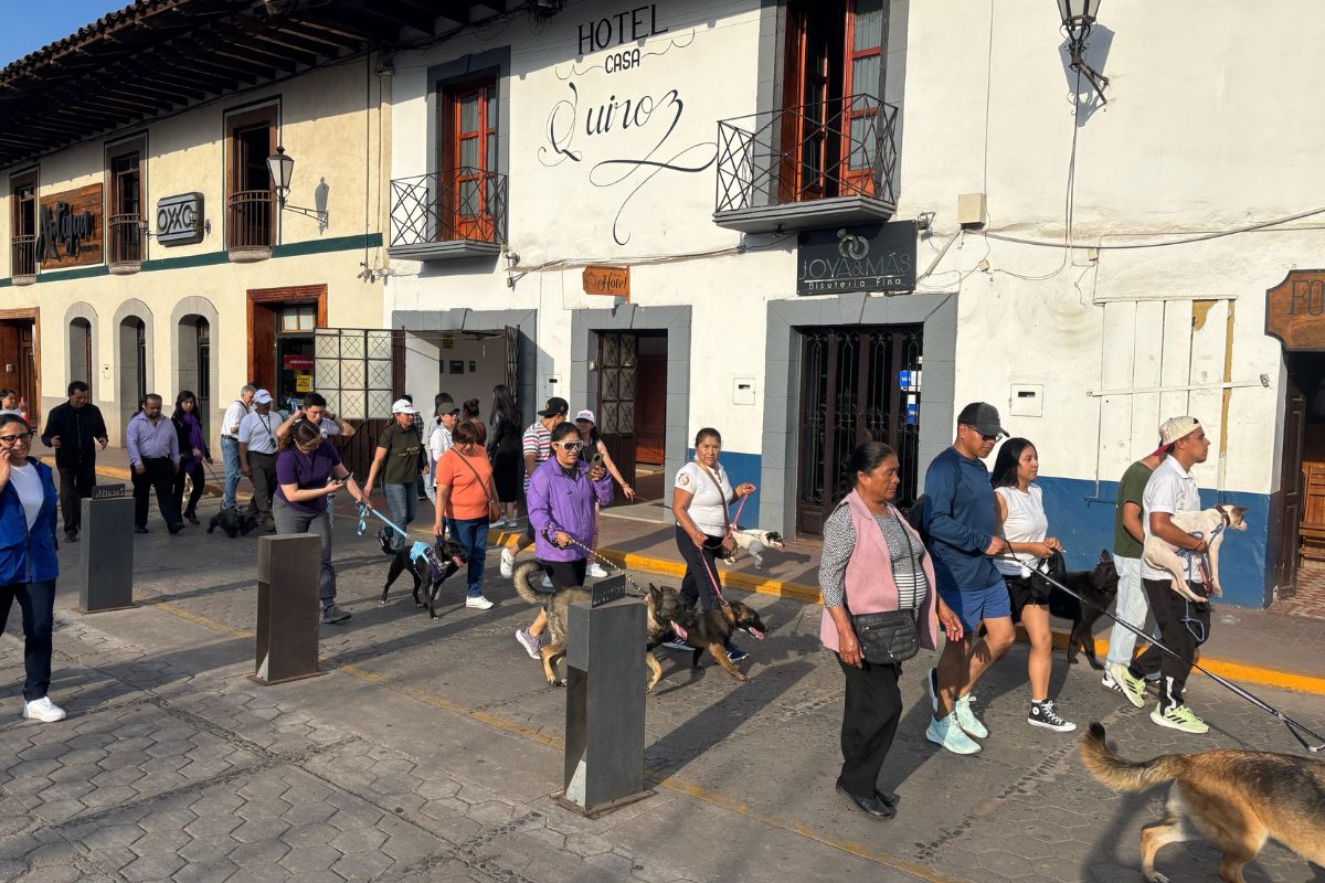 En su primera edicion Croqueton recauda mas de 700 kilos de alimento para perritos y gatitos