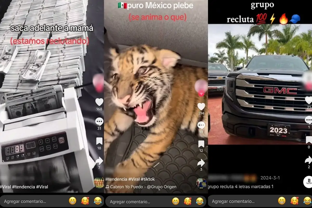 Jóvenes difunden VIDEOS anunciando su ingreso voluntario al CJNG en redes sociales 2 Jóvenes difunden VIDEOS anunciando su ingreso voluntario al CJNG en redes sociales