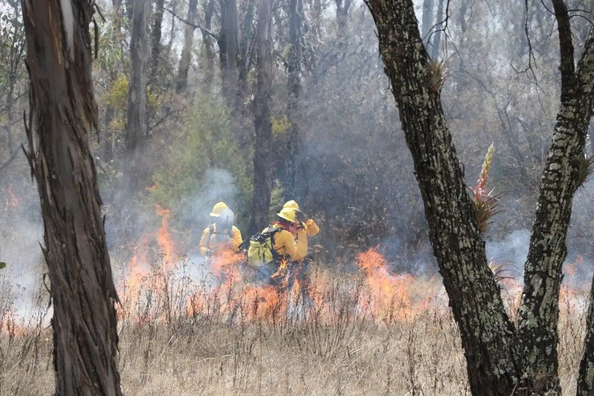 Puebla refuerza combate a incendios tras más de 200 siniestros urbanos y forestales en 2025 1 Puebla refuerza combate a incendios tras más de 200 siniestros urbanos y forestales en 2025