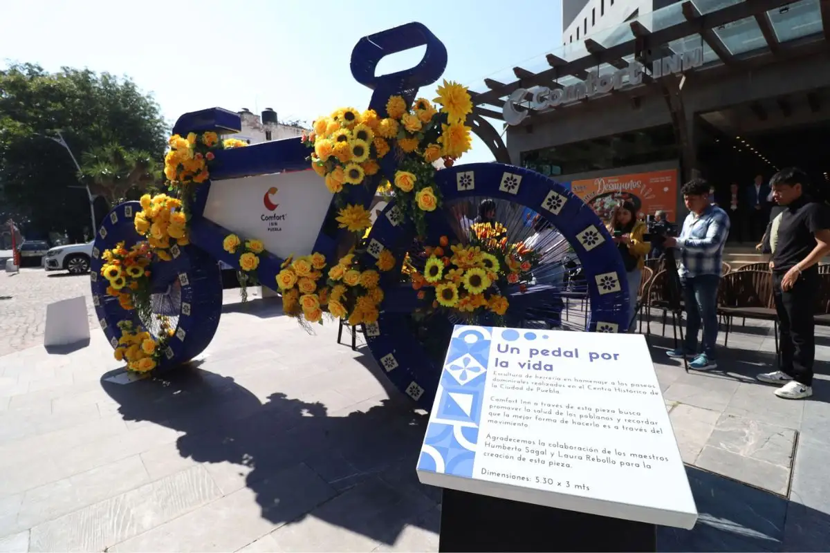Descubre la Bicicleta Monumental en Avenida Juárez