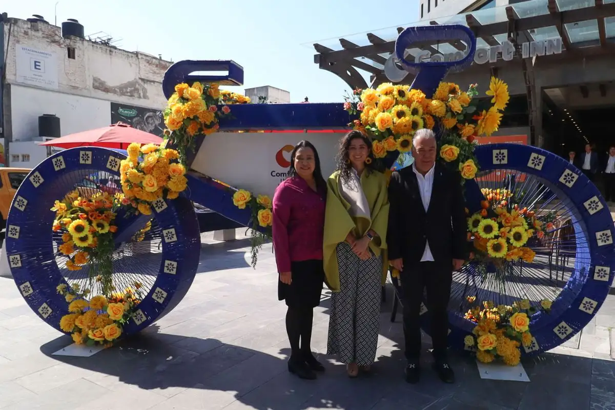 Descubre la Bicicleta Monumental en Avenida Juárez