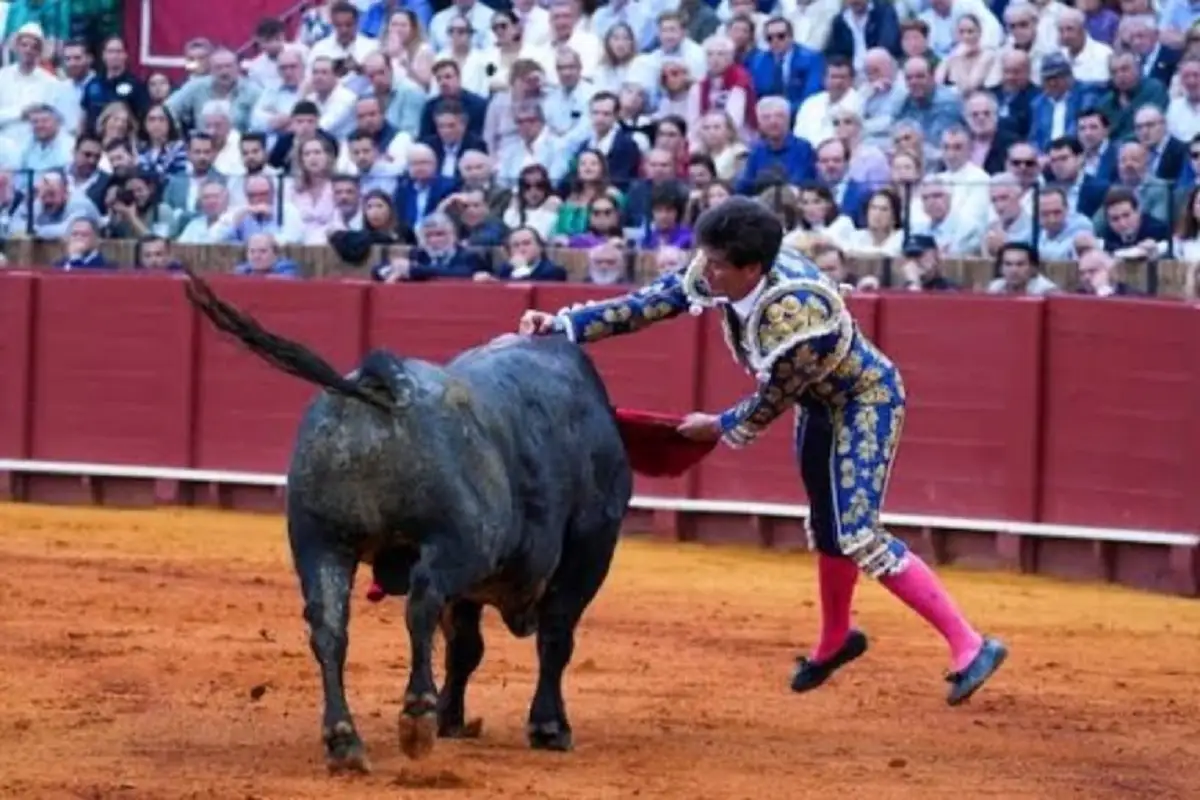 corridas de toros sin violencia