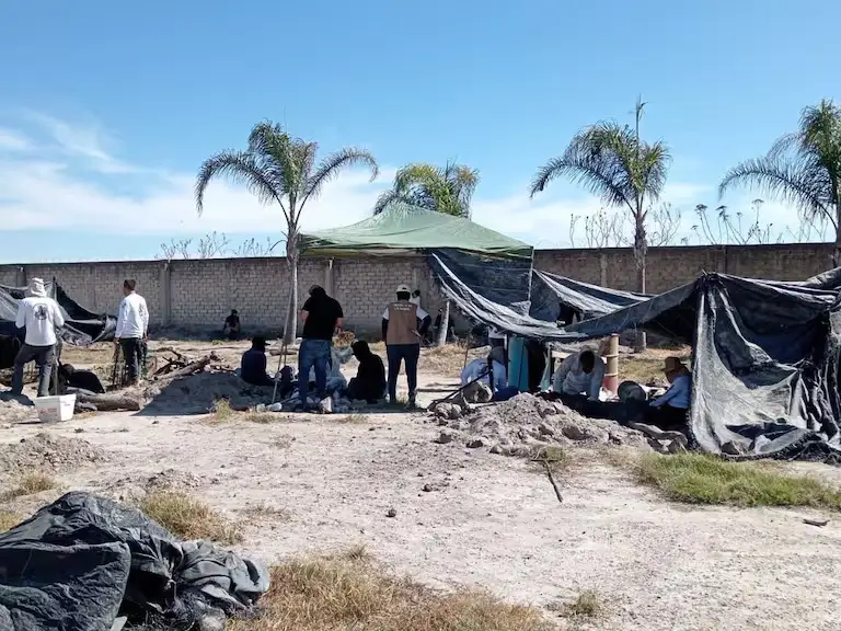 Fiscalía de Jalisco debe responder por crematorio clandestino