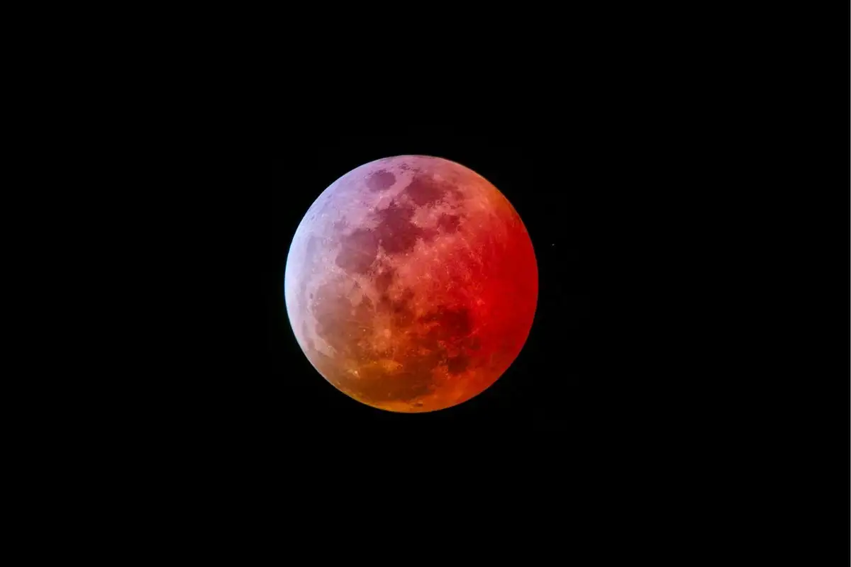Estas son las mejores imágenes y videos del eclipse lunar de marzo 2025 1 Así se vio el eclipse lunar de marzo 2025